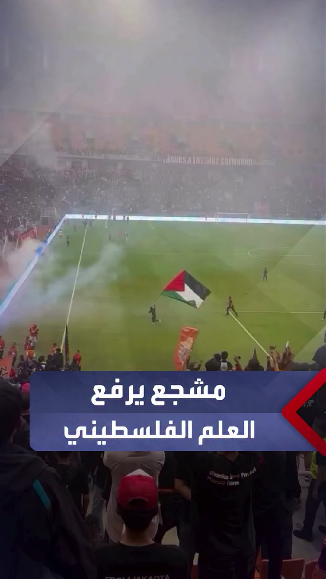 مشجع يرفع علم فلسطين في كأس العالم